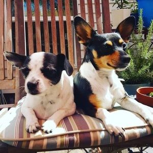 Meet your Posher, Traci